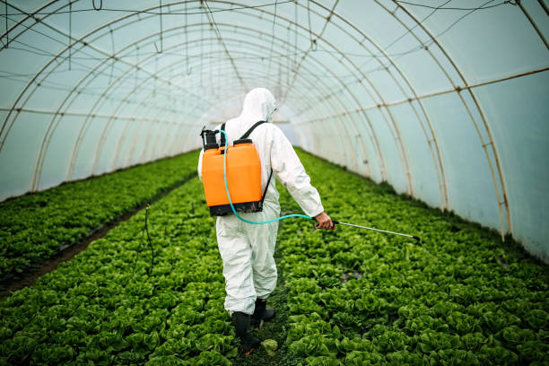 Best Commercial Pest Control Services  in South Euclid, OH
