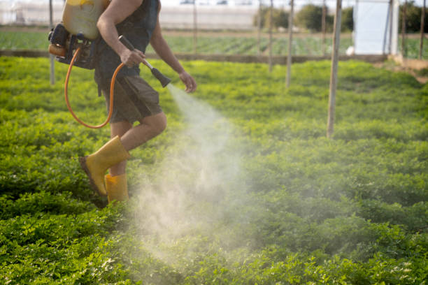 Best Ant Control Services  in South Euclid, OH