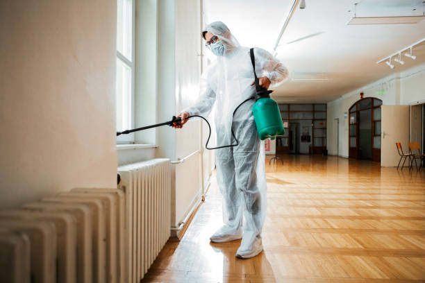 Best Pest Removal Services  in South Euclid, OH