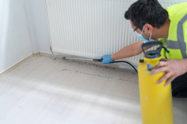 Best Pest Prevention Services  in South Euclid, OH