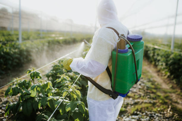 Best Pest Prevention Services  in South Euclid, OH